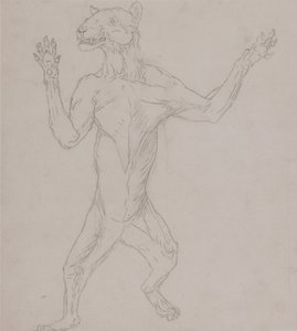 A Comparative Anatomical Exposition of the Structure of the Human Body with that of a Tiger and a Cow by George Stubbs